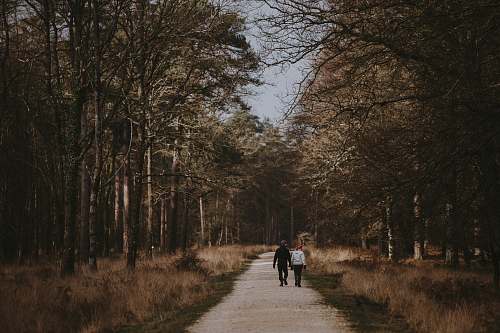 gravel two person near trees road